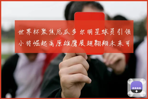 世界杯聚焦厄瓜多尔明星球员引领小将崛起高原雄鹰展翅翱翔未来可期